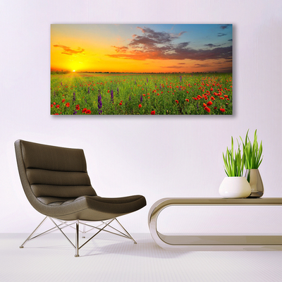 Quadro canvas Sun Meadow Flores Natureza