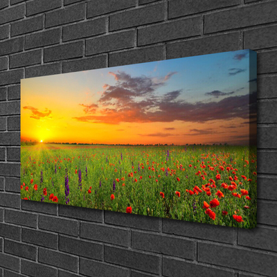 Quadro canvas Sun Meadow Flores Natureza