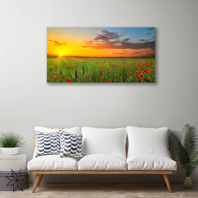 Quadro canvas Sun Meadow Flores Natureza