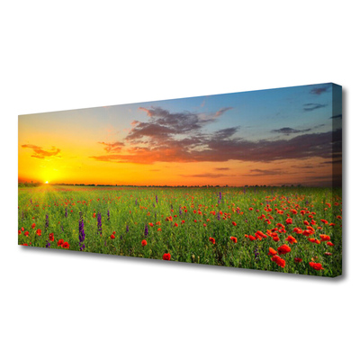 Quadro canvas Sun Meadow Flores Natureza