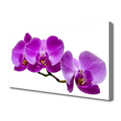 Quadro canvas Flores Planta Natureza