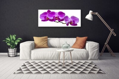 Quadro canvas Flores Planta Natureza