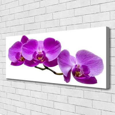 Quadro canvas Flores Planta Natureza