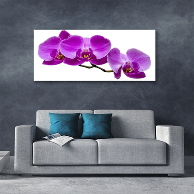 Quadro canvas Flores Planta Natureza