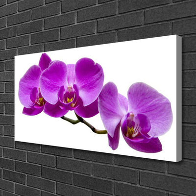 Quadro canvas Flores Planta Natureza