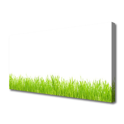Quadro em tela Natureza da planta grama