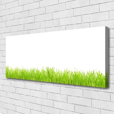 Quadro em tela Natureza da planta grama