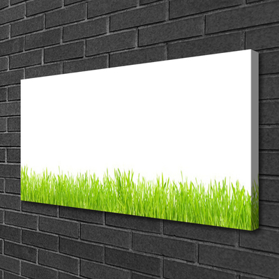 Quadro em tela Natureza da planta grama