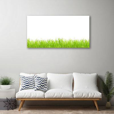 Quadro em tela Natureza da planta grama