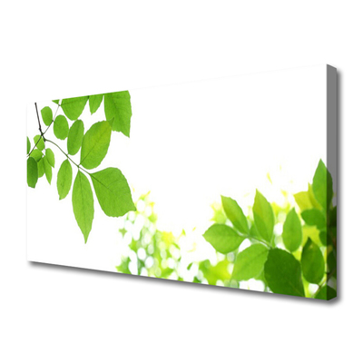 Quadro canvas Pétalas Planta Natureza
