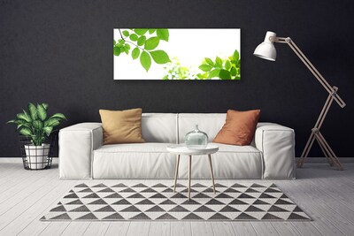 Quadro canvas Pétalas Planta Natureza