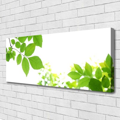 Quadro canvas Pétalas Planta Natureza