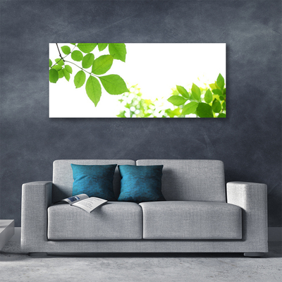 Quadro canvas Pétalas Planta Natureza