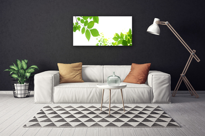 Quadro canvas Pétalas Planta Natureza