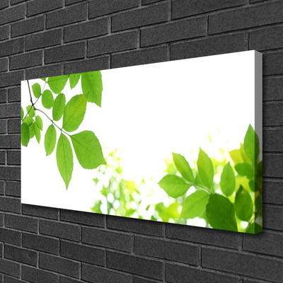 Quadro canvas Pétalas Planta Natureza