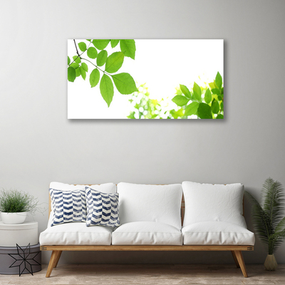 Quadro canvas Pétalas Planta Natureza