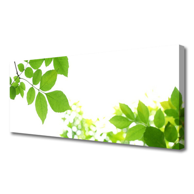 Quadro canvas Pétalas Planta Natureza