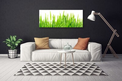 Quadro canvas Natureza da planta grama