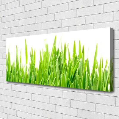 Quadro canvas Natureza da planta grama
