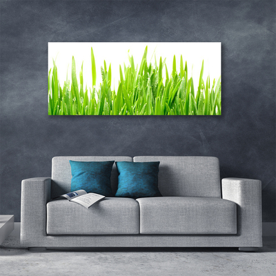Quadro canvas Natureza da planta grama