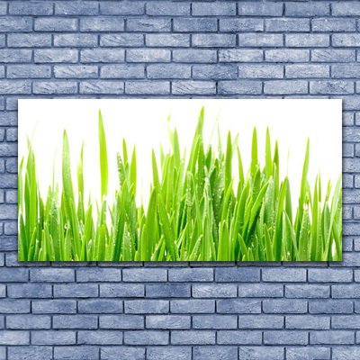 Quadro canvas Natureza da planta grama