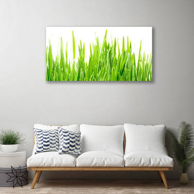Quadro canvas Natureza da planta grama