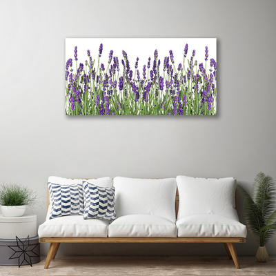 Quadro em tela Flores Planta Natureza