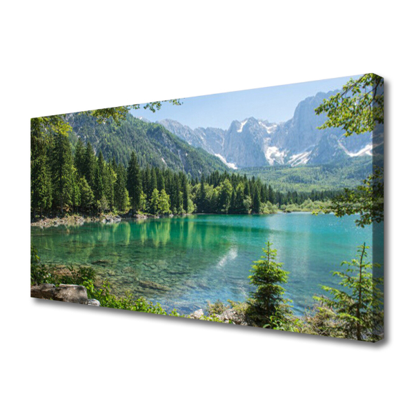 Quadro em tela Montanhas Lago Floresta Natureza