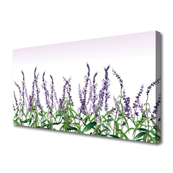 Quadro canvas Flores Planta Natureza