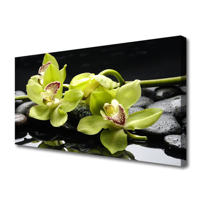 Quadro em tela Planta de orquídea flor