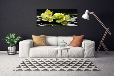 Quadro em tela Planta de orquídea flor