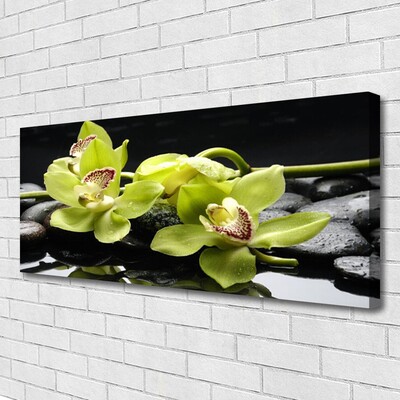 Quadro em tela Planta de orquídea flor