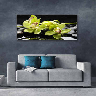 Quadro em tela Planta de orquídea flor