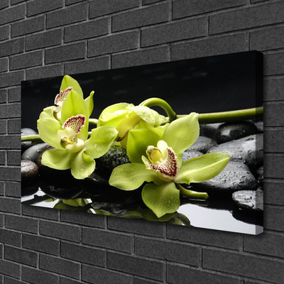Quadro em tela Planta de orquídea flor
