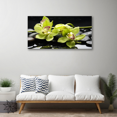 Quadro em tela Planta de orquídea flor