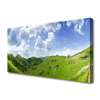 Quadro canvas Campo Natural de Mountain Meadow