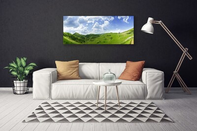 Quadro canvas Campo Natural de Mountain Meadow