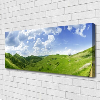 Quadro canvas Campo Natural de Mountain Meadow