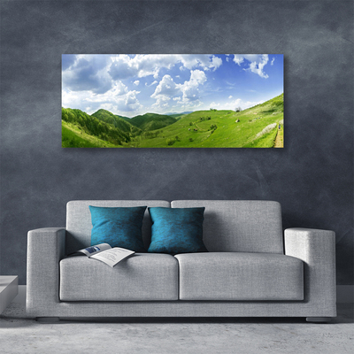 Quadro canvas Campo Natural de Mountain Meadow