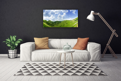 Quadro canvas Campo Natural de Mountain Meadow