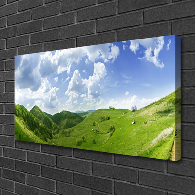 Quadro canvas Campo Natural de Mountain Meadow