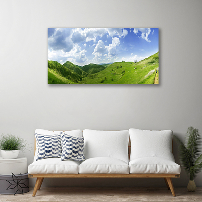 Quadro canvas Campo Natural de Mountain Meadow