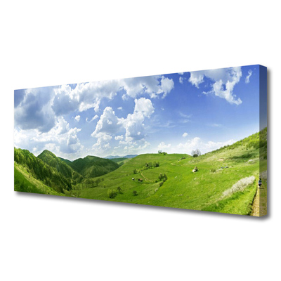Quadro canvas Campo Natural de Mountain Meadow
