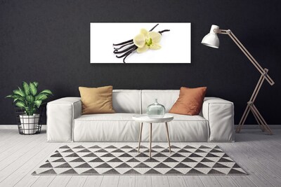 Quadro canvas Flor Planta Natureza