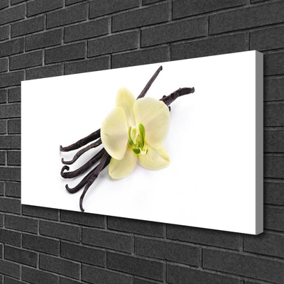 Quadro canvas Flor Planta Natureza
