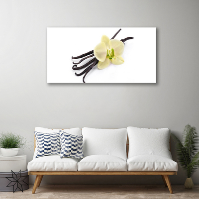 Quadro canvas Flor Planta Natureza