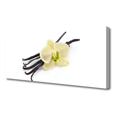 Quadro canvas Flor Planta Natureza