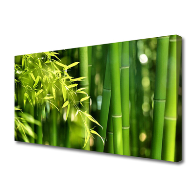 Quadro canvas Planta de folhas de bambu