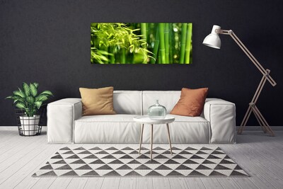 Quadro canvas Planta de folhas de bambu