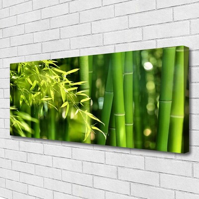 Quadro canvas Planta de folhas de bambu